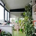 Lejlighed Schoene In Mit Sonnenterrasse By Interhome *